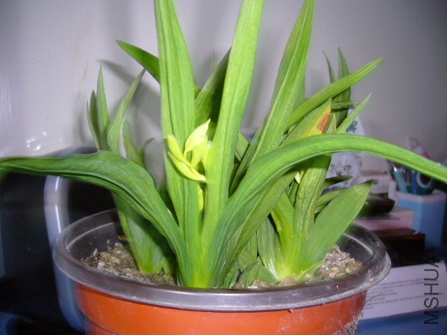 ���ǵ�һ���ϴ�ͼƬ����֪��С�������պͿ��ɣ�С������׳�ɣ��Ѿ�������Ŷ