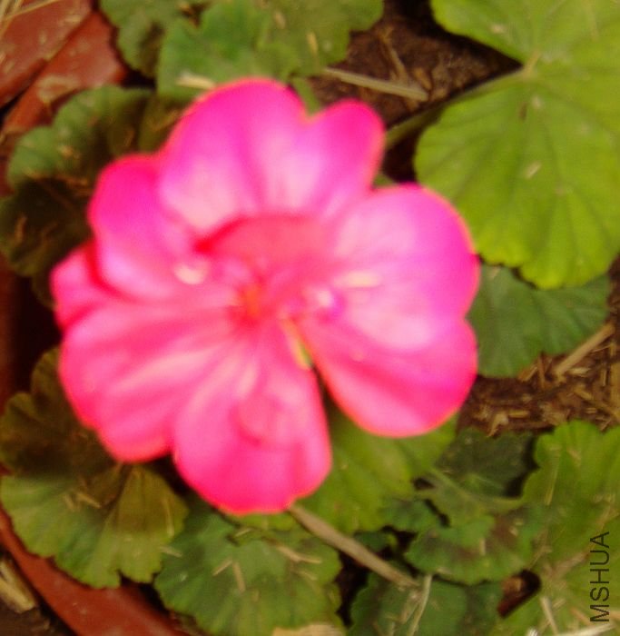 DSC07509.JPG