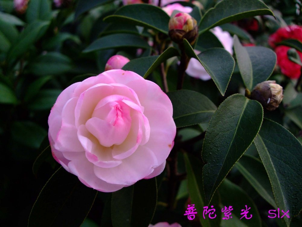 �����Ϲ�11-3-13f (1).jpg