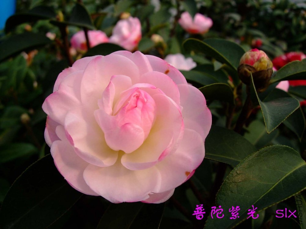 �����Ϲ�11-3-13f (4).jpg