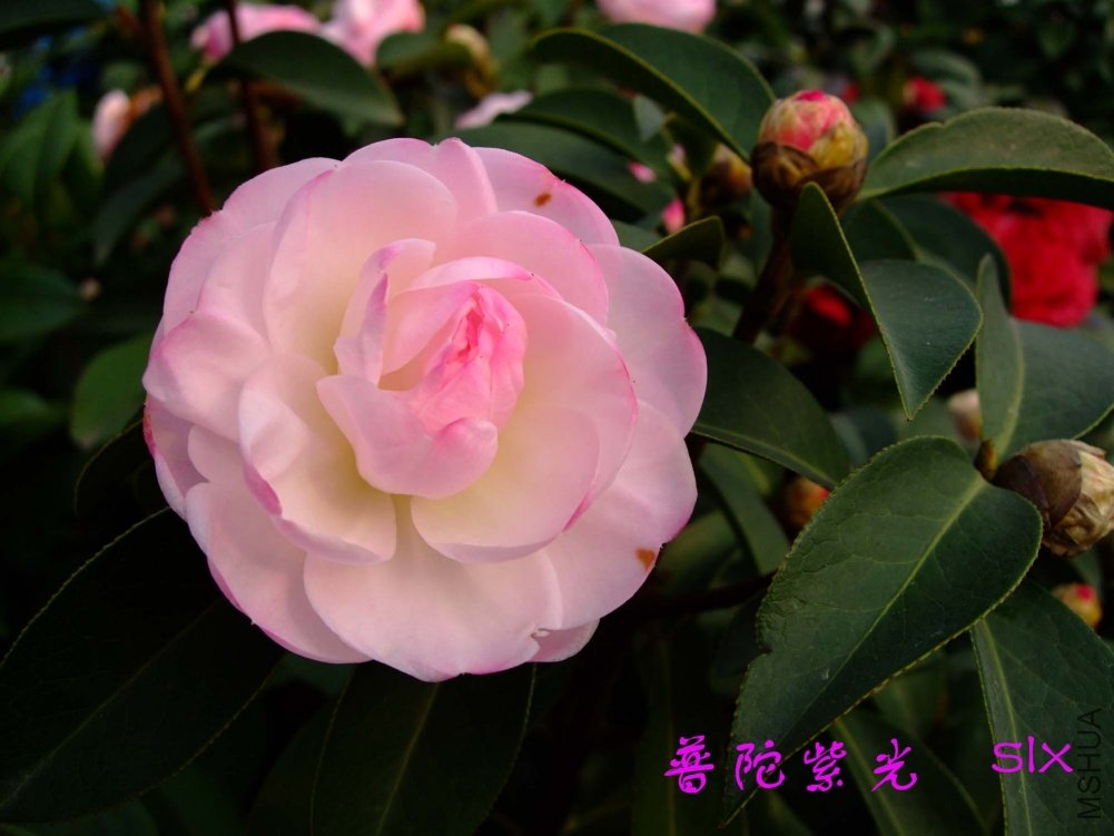 �����Ϲ�11-3-13f (2).jpg