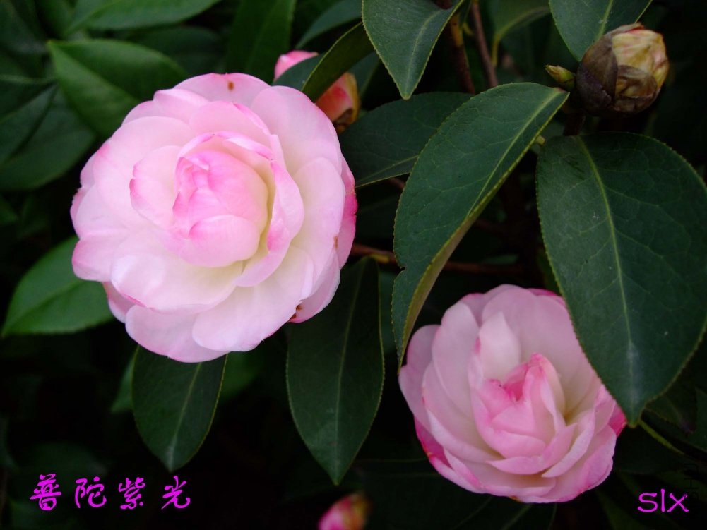 �����Ϲ�11-3-13f (3).jpg