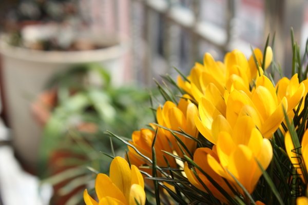 11f.JPG