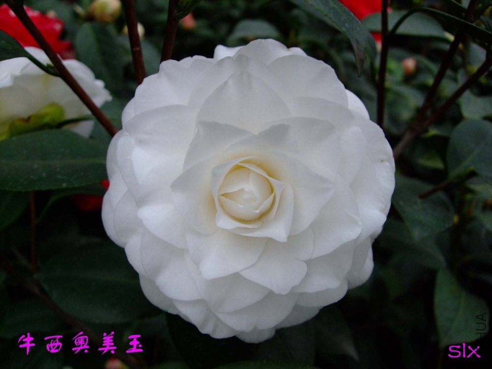 ţ��������11-3-14f (1).jpg