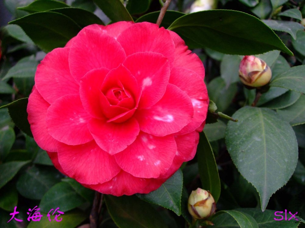 ����11-3-14f (1).jpg