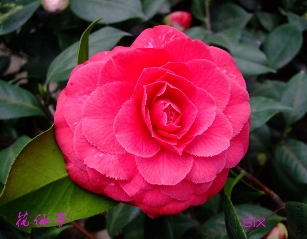 ������11-3-14f (1).jpg