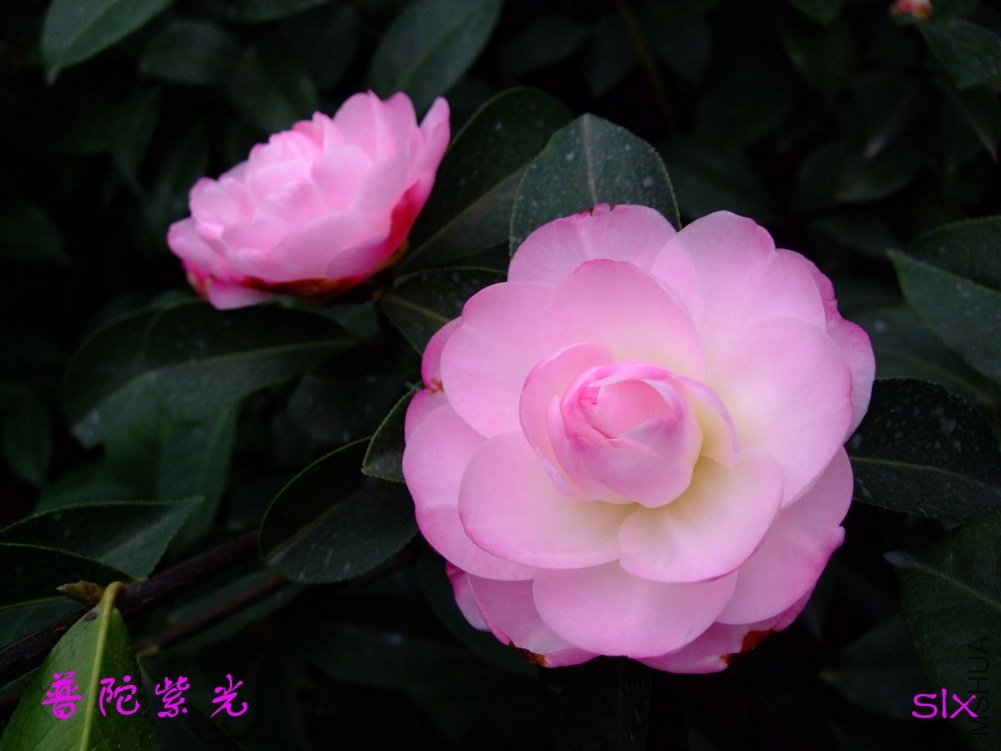 �����Ϲ�11-3-14f (5).jpg