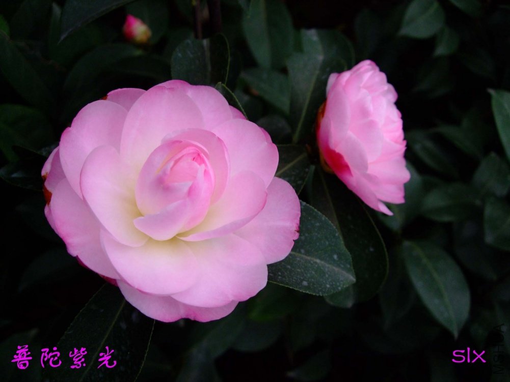 �����Ϲ�11-3-14f (4).jpg