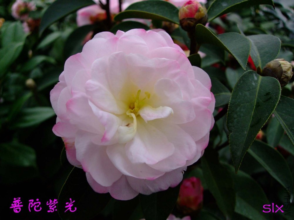 �����Ϲ�11-3-14f (3).jpg