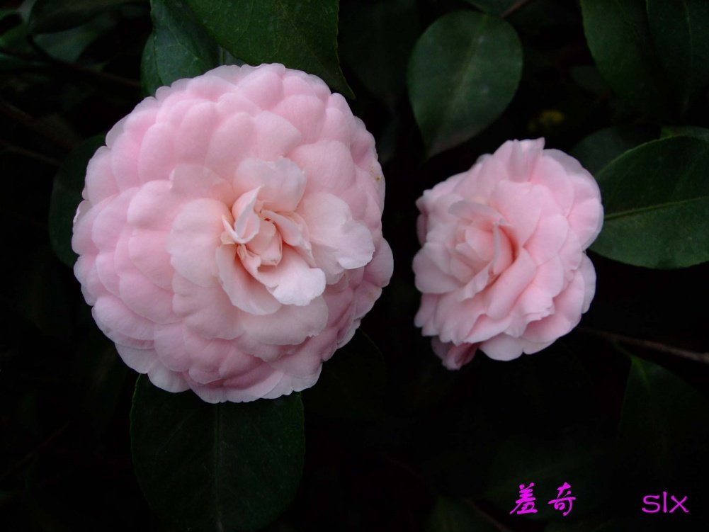 ����11-3-14f (1).jpg