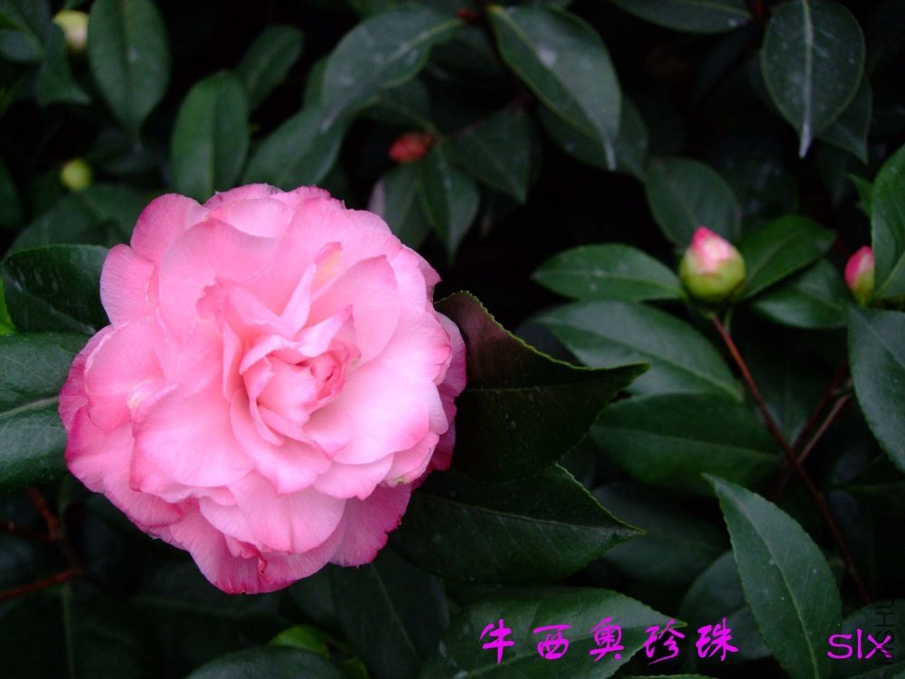 ţ��������11-3-14f (2).jpg