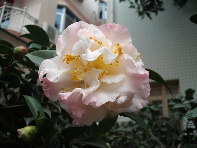 ��Ƭ 1575.jpg
