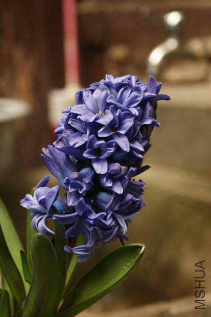 ��ɫ�µ��ߵ㲻��������ɫ��ʵ����