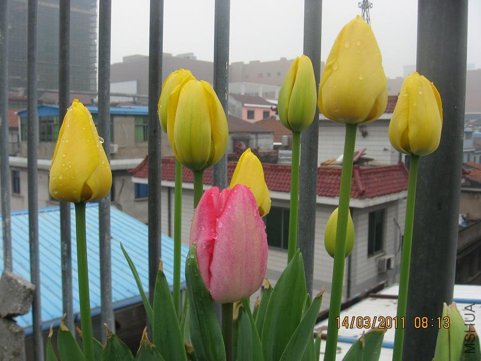 201103 071.jpg