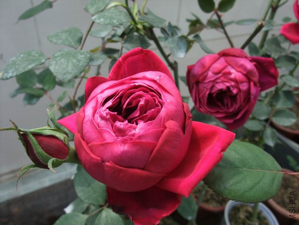 DSCF3314.JPG
