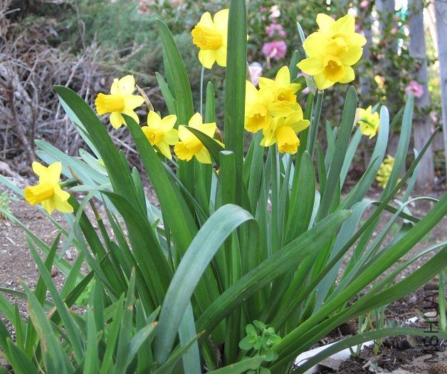 Tete a tete.jpg
