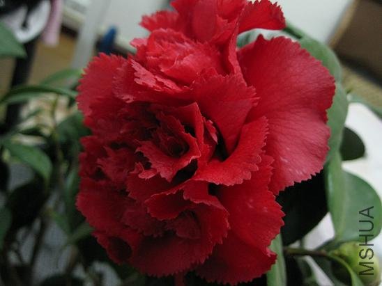 ��ں�3.JPG