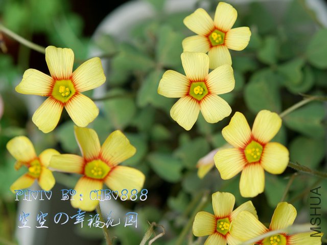 110315-1 ����.jpg