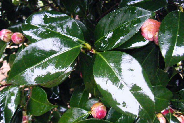 ��Ƭ 072.jpg