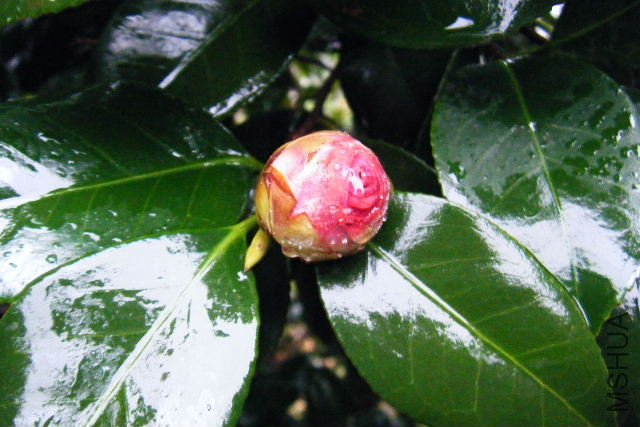 ��Ƭ 073.jpg
