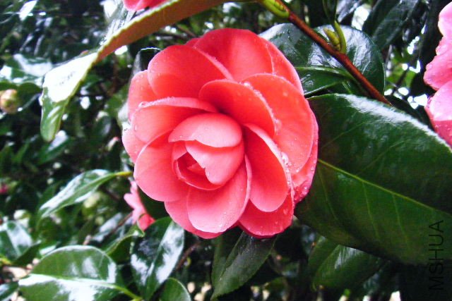 ��Ƭ 071.jpg