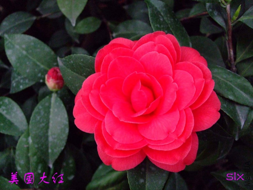 ����11-3-15f (2).jpg