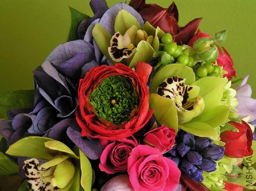 Winter Wedding Ranunculus LR.jpg