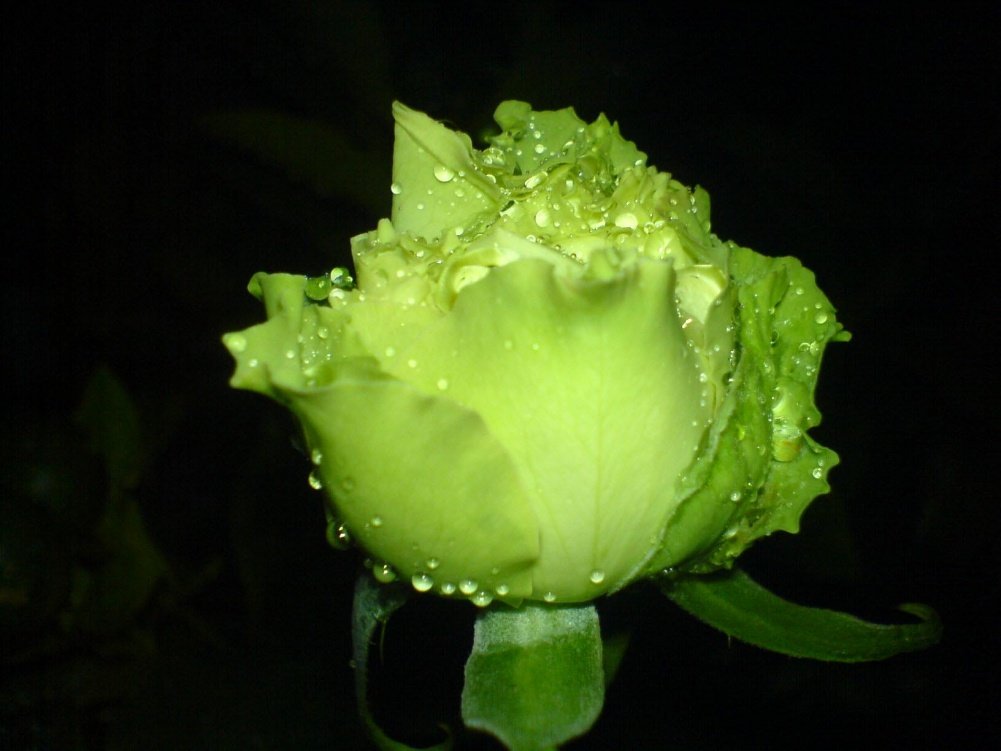 DSC00901.JPG