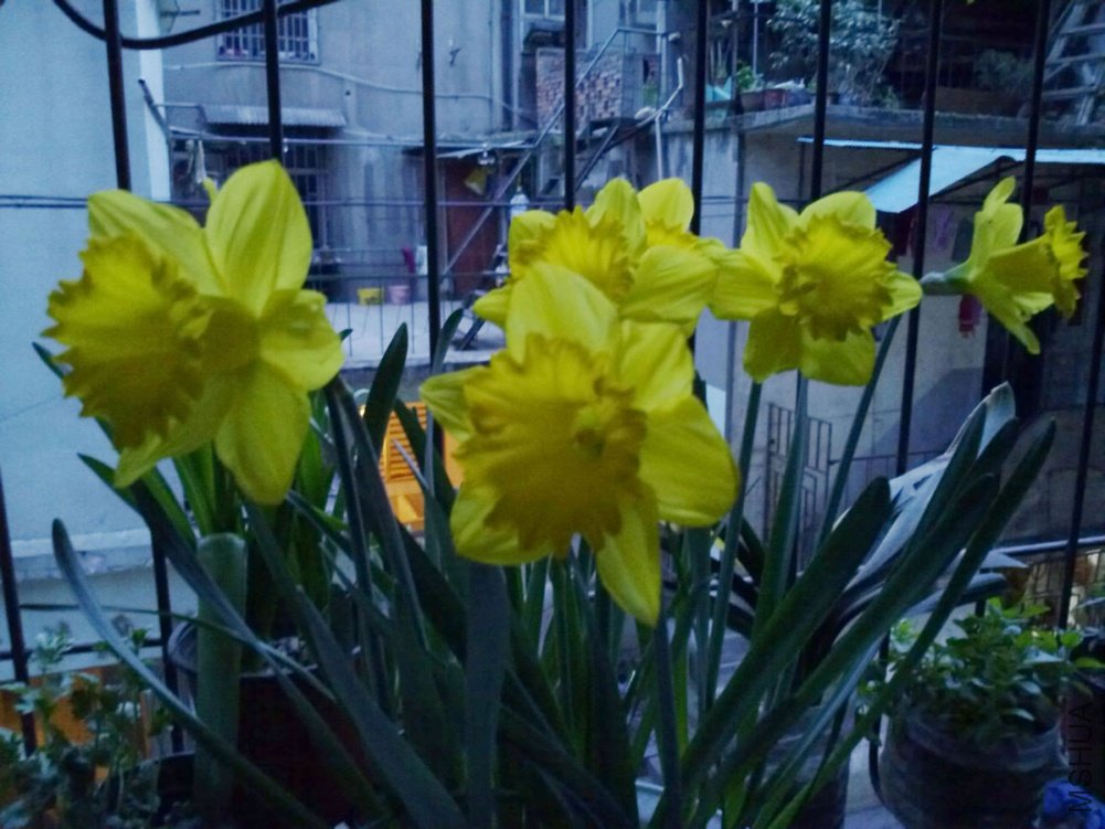 20110317590.jpg