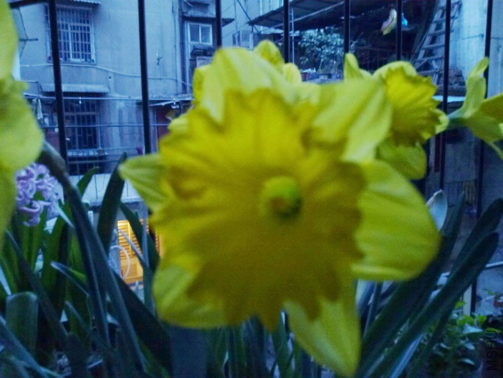 20110317591.jpg