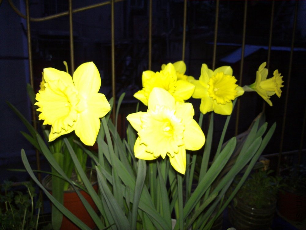 20110317588.jpg