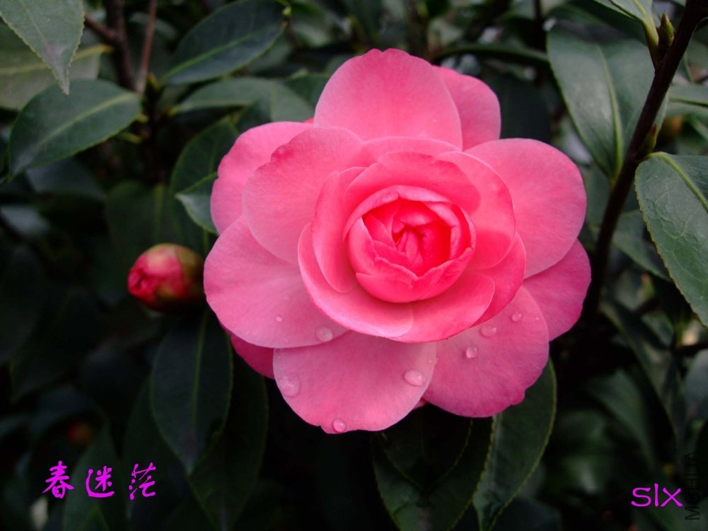 ����ã11-3-17f (1).jpg