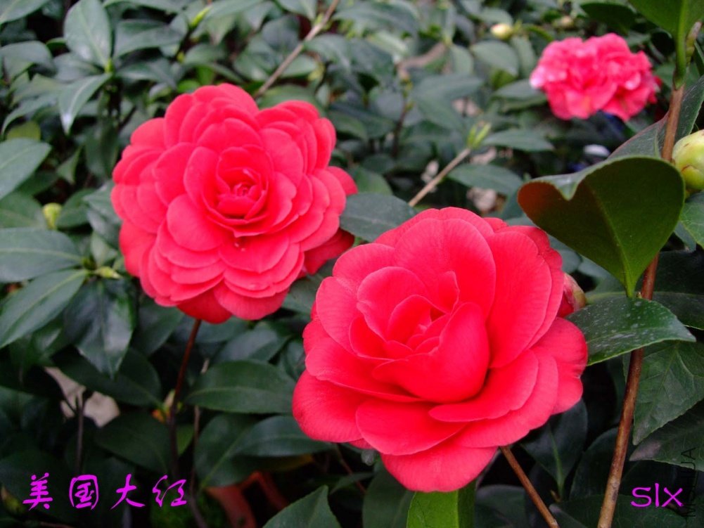 ����11-3-17f (1).jpg