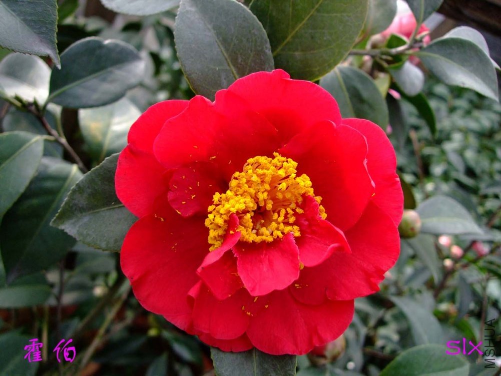 ����11-3-17f (1).jpg