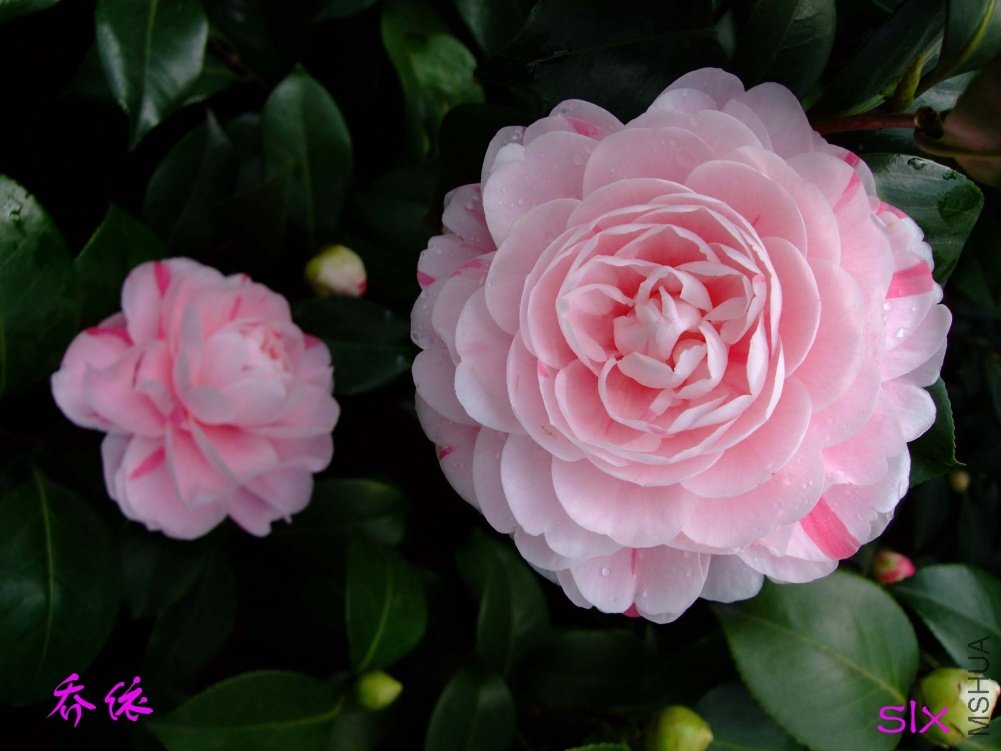 ����11-3-17f (1).jpg