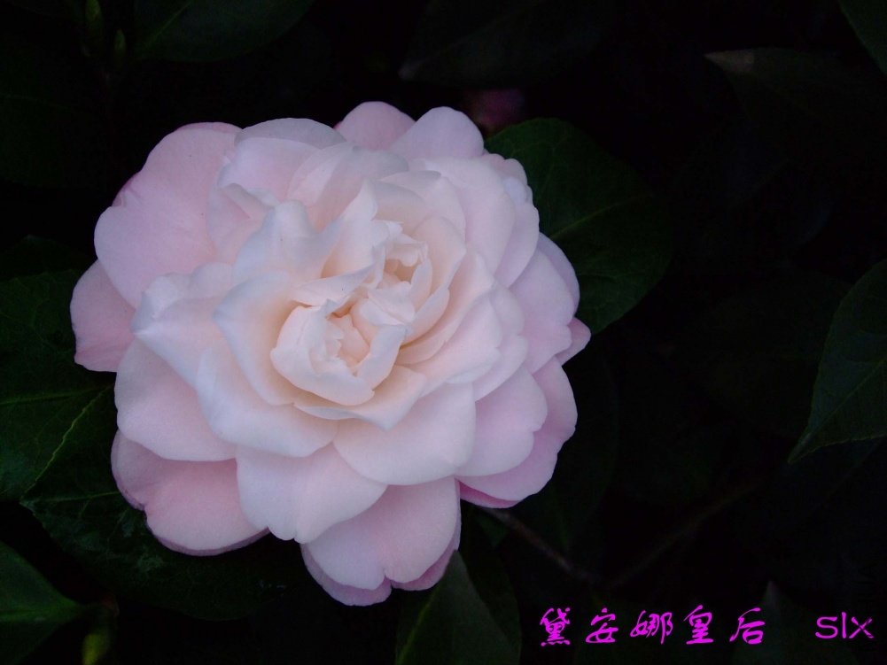 �찲�Ȼʺ�11-3-16f (2).jpg