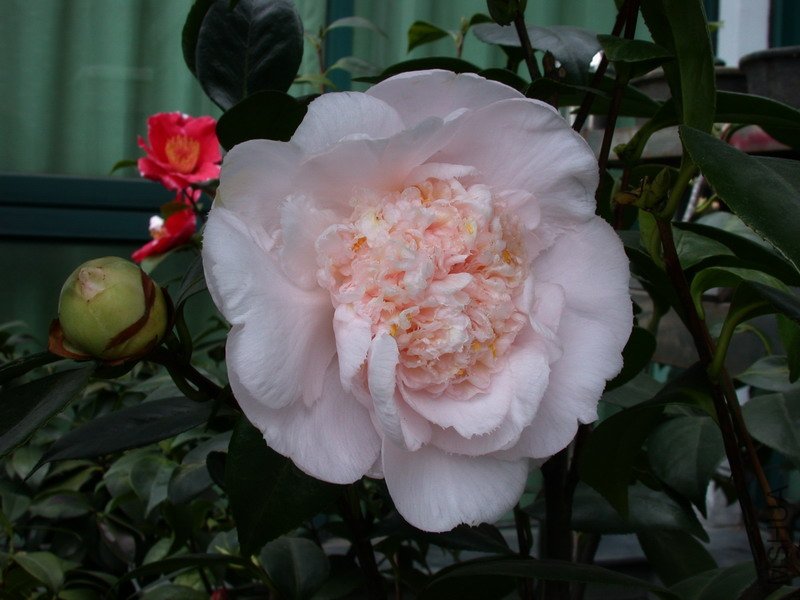 ����֮��