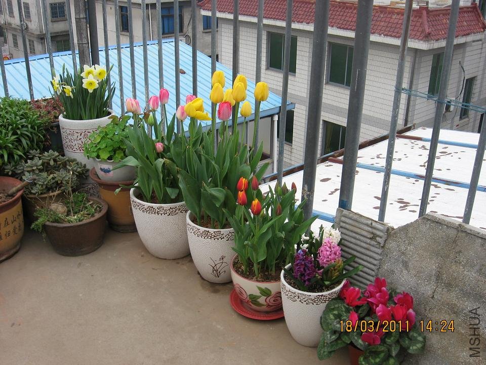 201103 004.jpg