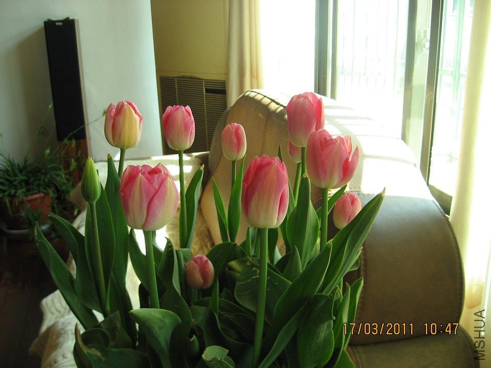 201103 100.jpg