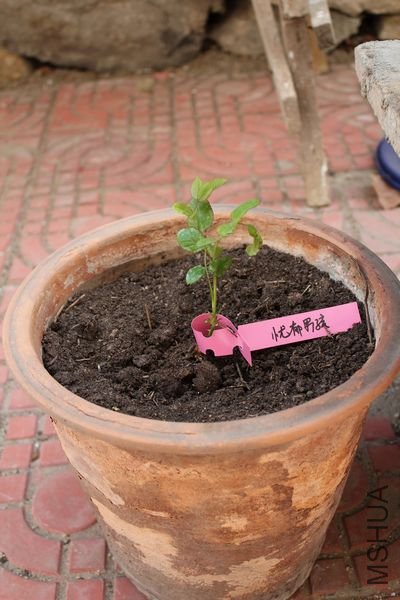 ��Ƭ 017.jpg