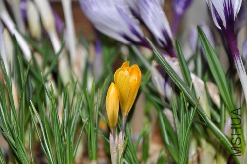 DSC_0118.jpg