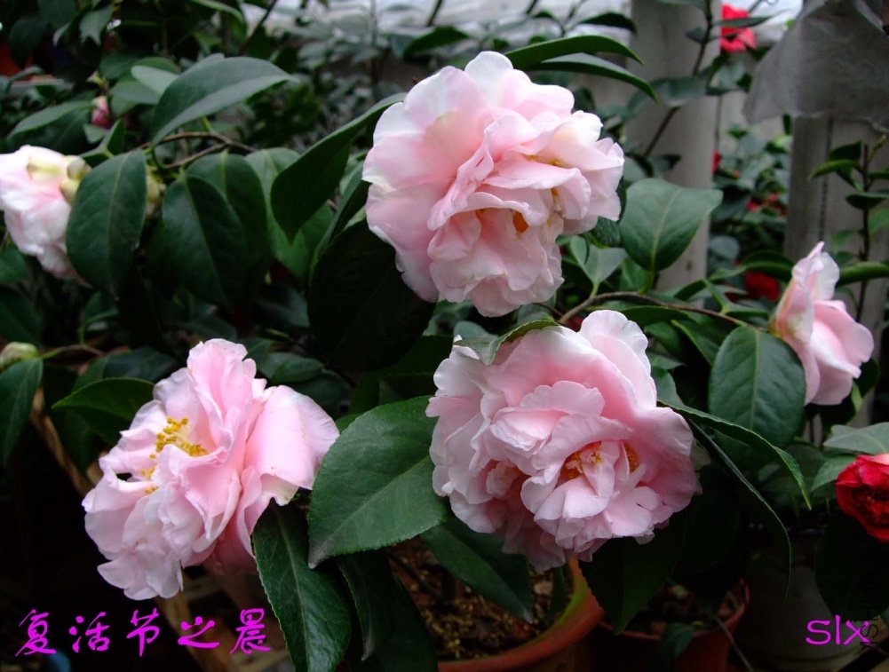 �����֮��11-3-19f (1).jpg