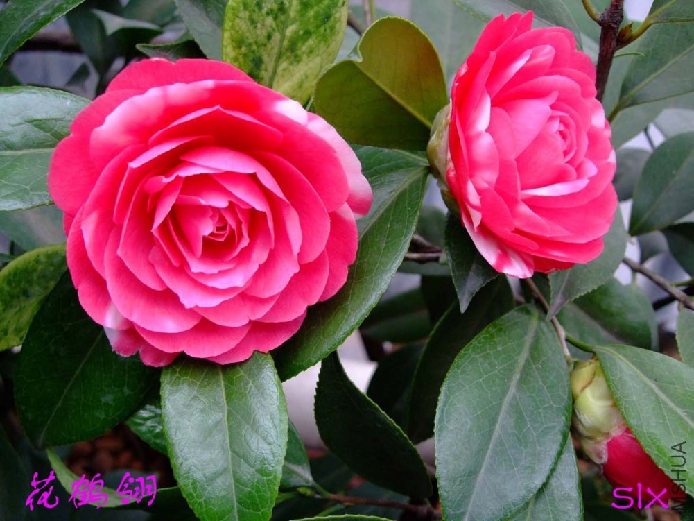 ������11-3-19f (2).jpg