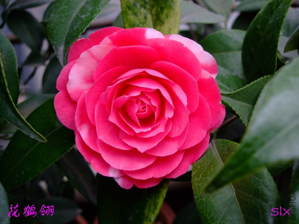 ������11-3-19f (1).jpg