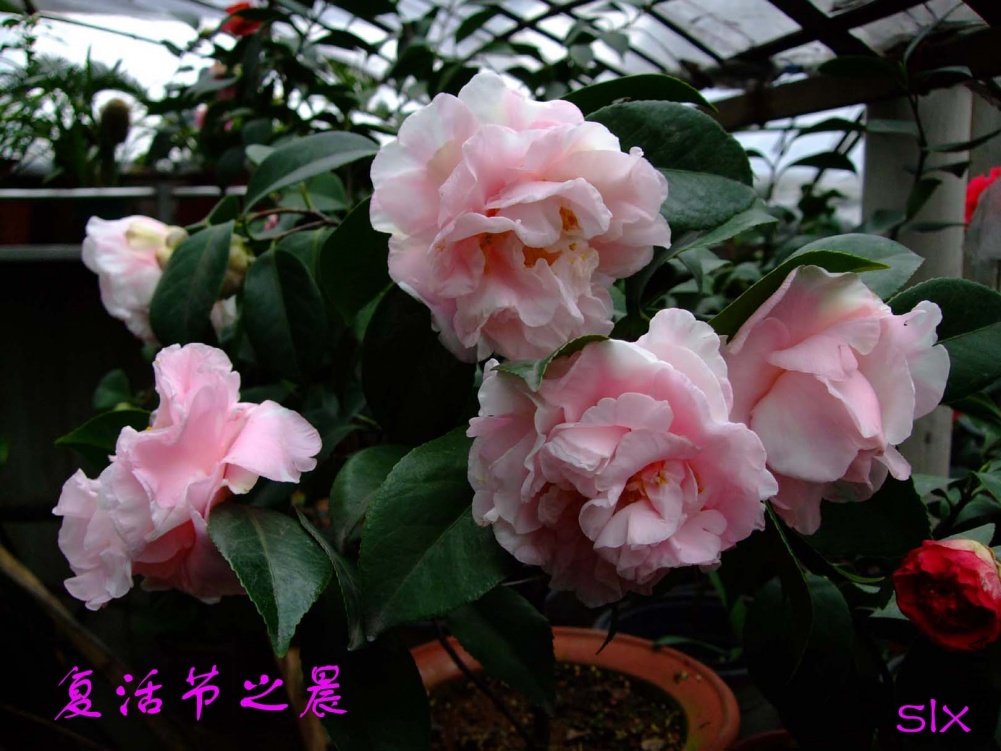 �����֮��11-3-19f (2).jpg