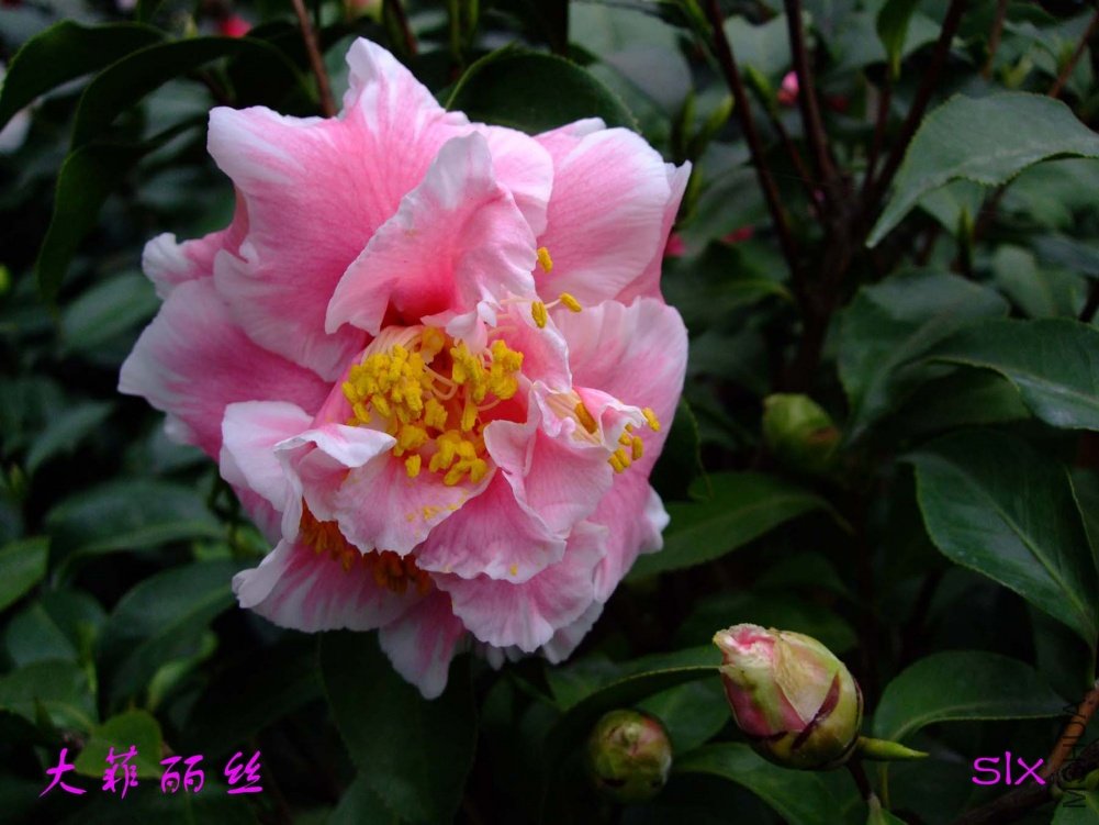 ���11-3-19f (1).jpg