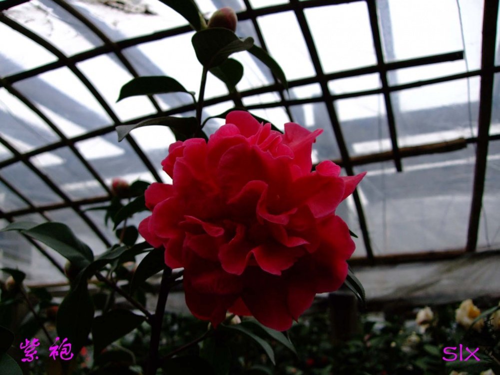 ����11-3-19f (1).jpg