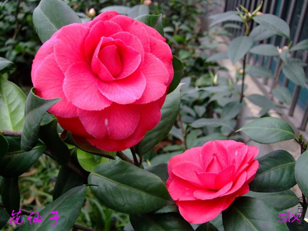 ������ 11-3-19f (1).jpg