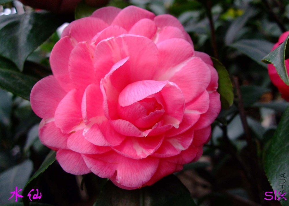 ˮ��11-3-19f (1).jpg