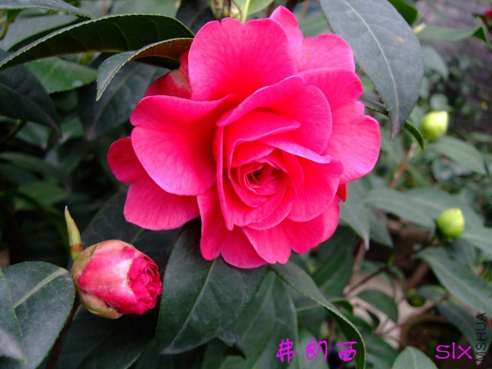 ������11-3-19f (1).jpg